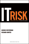 IT Risk