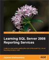Learning SQL Server 2008 Reporting Services