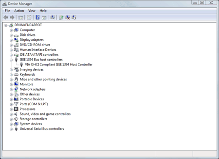 Make sure that the Device Manager displays your 1394 bus.