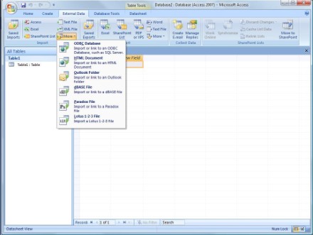 Import Exchange GAL into a new Microsoft Access database
