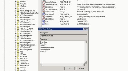 The MSDTC service listed in the group key.