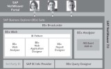 SAP BEx Suite