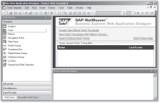 SAP BEx WAD