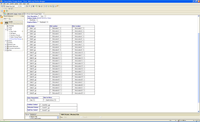 The mass input form