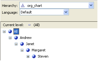 image of parent-child hierarchy dimensions using SQL Server Analysis Services MDX