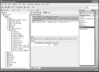 snippets window