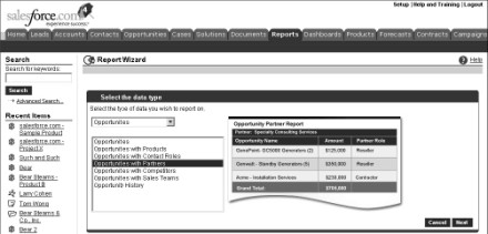 Figure 15-3: Defining the data type for the report.