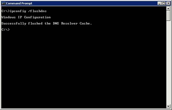 Flushing suspect DNS cache containing inaccurate information