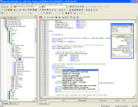 Rapid SQL 7.4.1 product screenshot